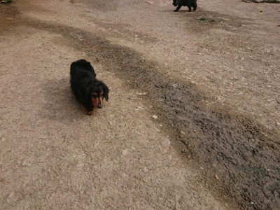 f:id:roukenhome-ann:20190414194159j:plain