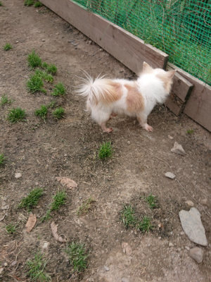 f:id:roukenhome-ann:20190414194212j:plain