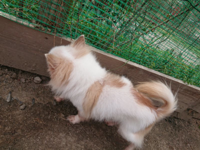 f:id:roukenhome-ann:20190414194232j:plain