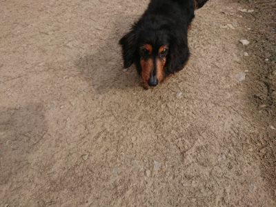 f:id:roukenhome-ann:20190414194248j:plain