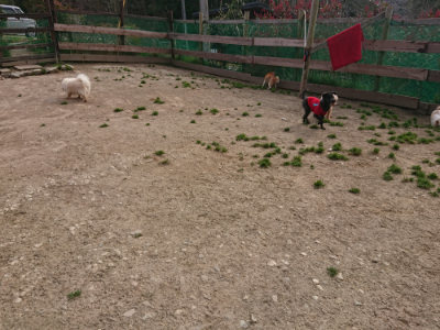 f:id:roukenhome-ann:20190414194257j:plain