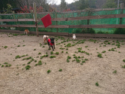 f:id:roukenhome-ann:20190414194306j:plain
