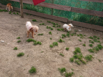 f:id:roukenhome-ann:20190414194316j:plain
