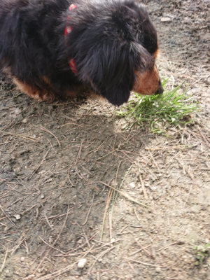 f:id:roukenhome-ann:20190414194403j:plain