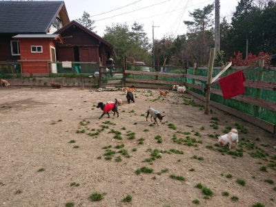 f:id:roukenhome-ann:20190414194453j:plain