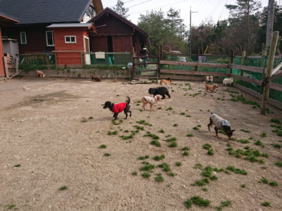 f:id:roukenhome-ann:20190414194501j:plain