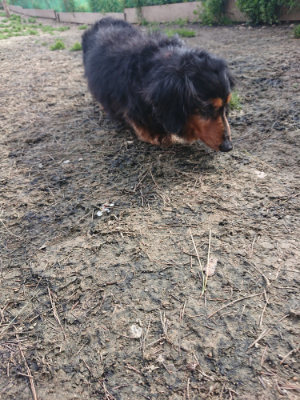 f:id:roukenhome-ann:20190414194509j:plain