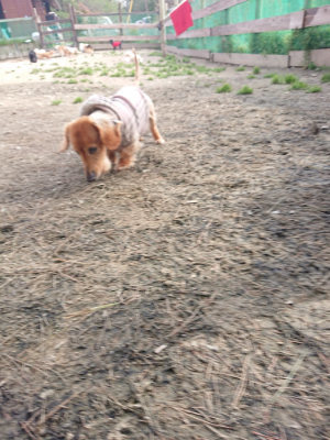 f:id:roukenhome-ann:20190414194516j:plain