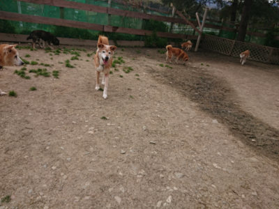 f:id:roukenhome-ann:20190414194538j:plain