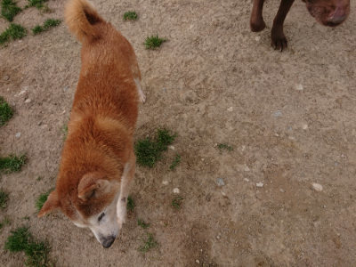 f:id:roukenhome-ann:20190414195053j:plain