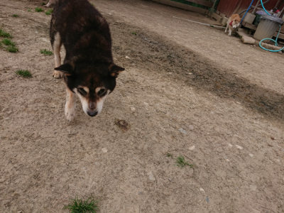 f:id:roukenhome-ann:20190414195118j:plain