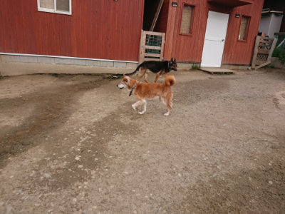 f:id:roukenhome-ann:20190414195153j:plain