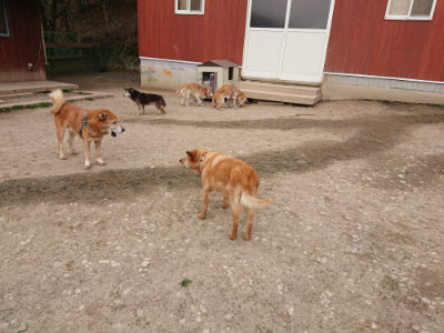 f:id:roukenhome-ann:20190414195216j:plain