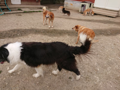 f:id:roukenhome-ann:20190414195303j:plain