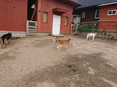 f:id:roukenhome-ann:20190414195310j:plain
