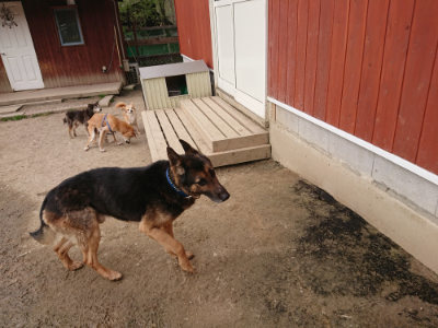 f:id:roukenhome-ann:20190414195316j:plain