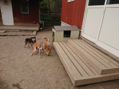 f:id:roukenhome-ann:20190414195324j:plain