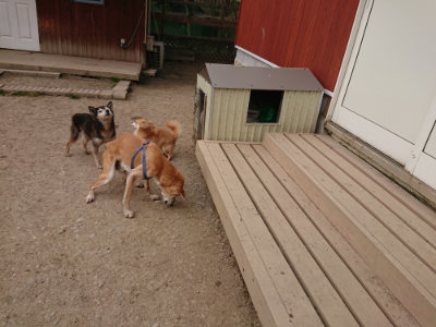 f:id:roukenhome-ann:20190414195347j:plain