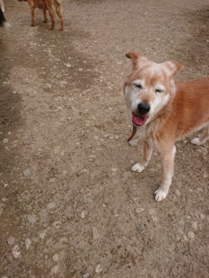 f:id:roukenhome-ann:20190414195441j:plain