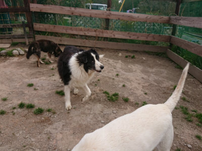 f:id:roukenhome-ann:20190414195627j:plain