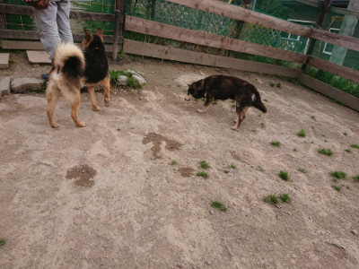 f:id:roukenhome-ann:20190414195700j:plain