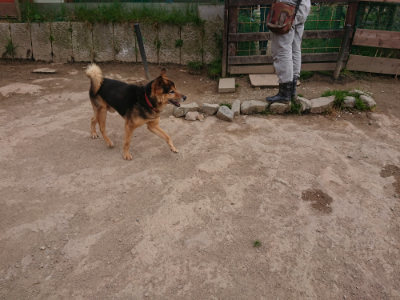 f:id:roukenhome-ann:20190414195718j:plain