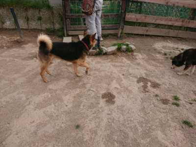 f:id:roukenhome-ann:20190414195726j:plain