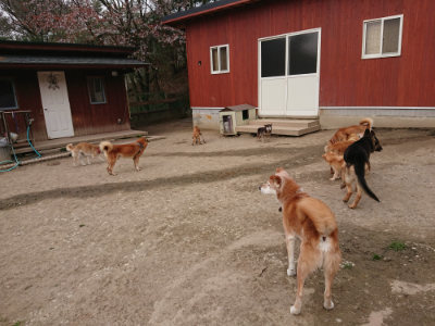 f:id:roukenhome-ann:20190414195750j:plain