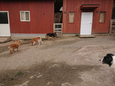 f:id:roukenhome-ann:20190414195815j:plain