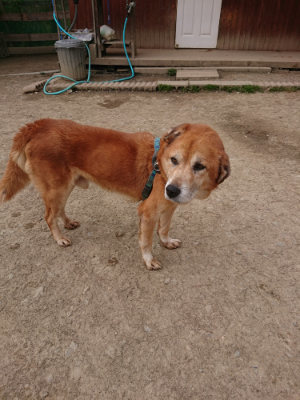f:id:roukenhome-ann:20190414200332j:plain