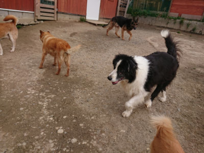 f:id:roukenhome-ann:20190414200422j:plain