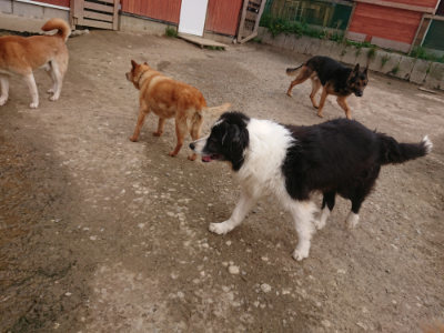 f:id:roukenhome-ann:20190414200431j:plain