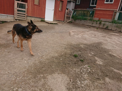 f:id:roukenhome-ann:20190414200458j:plain