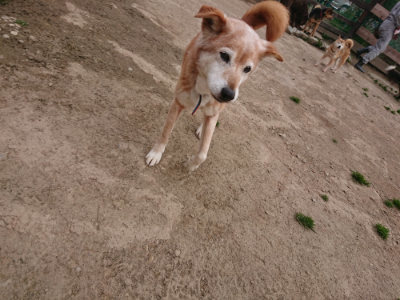 f:id:roukenhome-ann:20190414200506j:plain