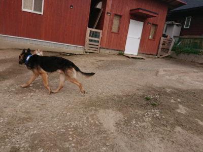 f:id:roukenhome-ann:20190414200704j:plain