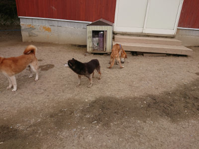 f:id:roukenhome-ann:20190414200711j:plain