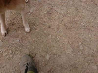 f:id:roukenhome-ann:20190414200718j:plain
