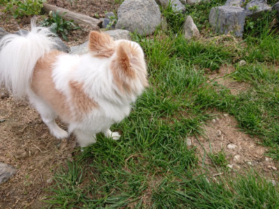 f:id:roukenhome-ann:20190414200727j:plain