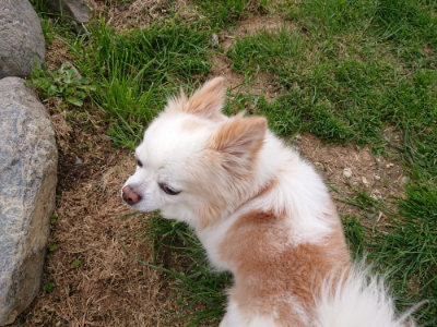 f:id:roukenhome-ann:20190414200736j:plain