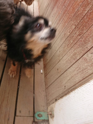 f:id:roukenhome-ann:20190414200848j:plain