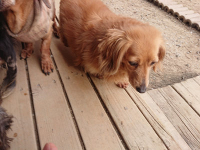 f:id:roukenhome-ann:20190414200958j:plain