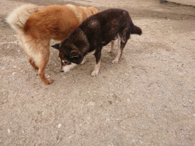 f:id:roukenhome-ann:20190414203250j:plain