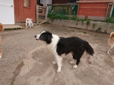 f:id:roukenhome-ann:20190414203341j:plain