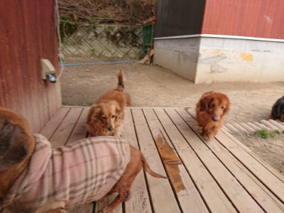 f:id:roukenhome-ann:20190414203524j:plain