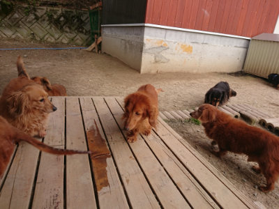 f:id:roukenhome-ann:20190414203532j:plain
