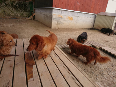 f:id:roukenhome-ann:20190414203541j:plain