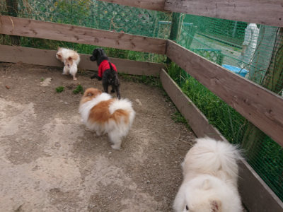 f:id:roukenhome-ann:20190414203554j:plain