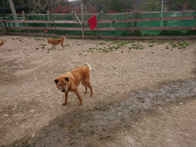 f:id:roukenhome-ann:20190414203759j:plain