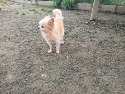 f:id:roukenhome-ann:20190414204112j:plain