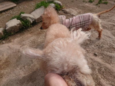 f:id:roukenhome-ann:20190414204222j:plain